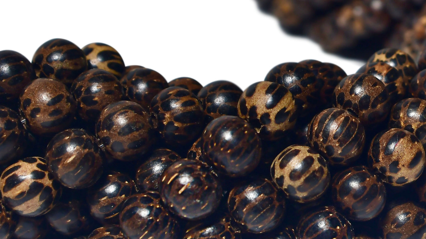 Palm Wood Beads – Polished – 16″ Strand